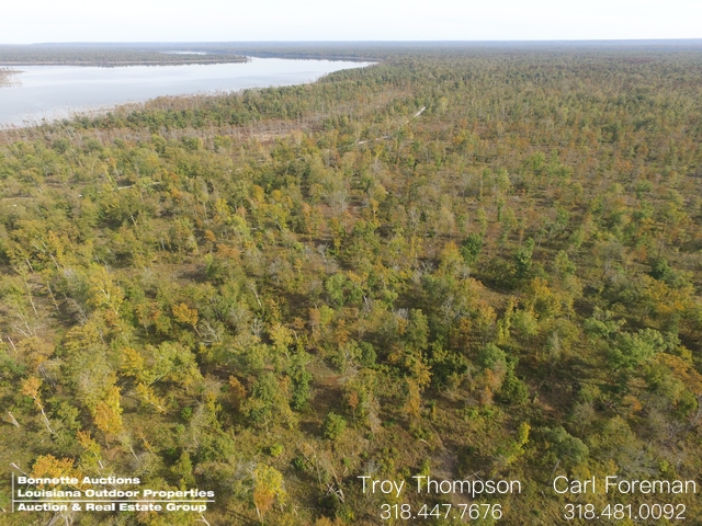 136+/- Acres Pointe Coupee Parish