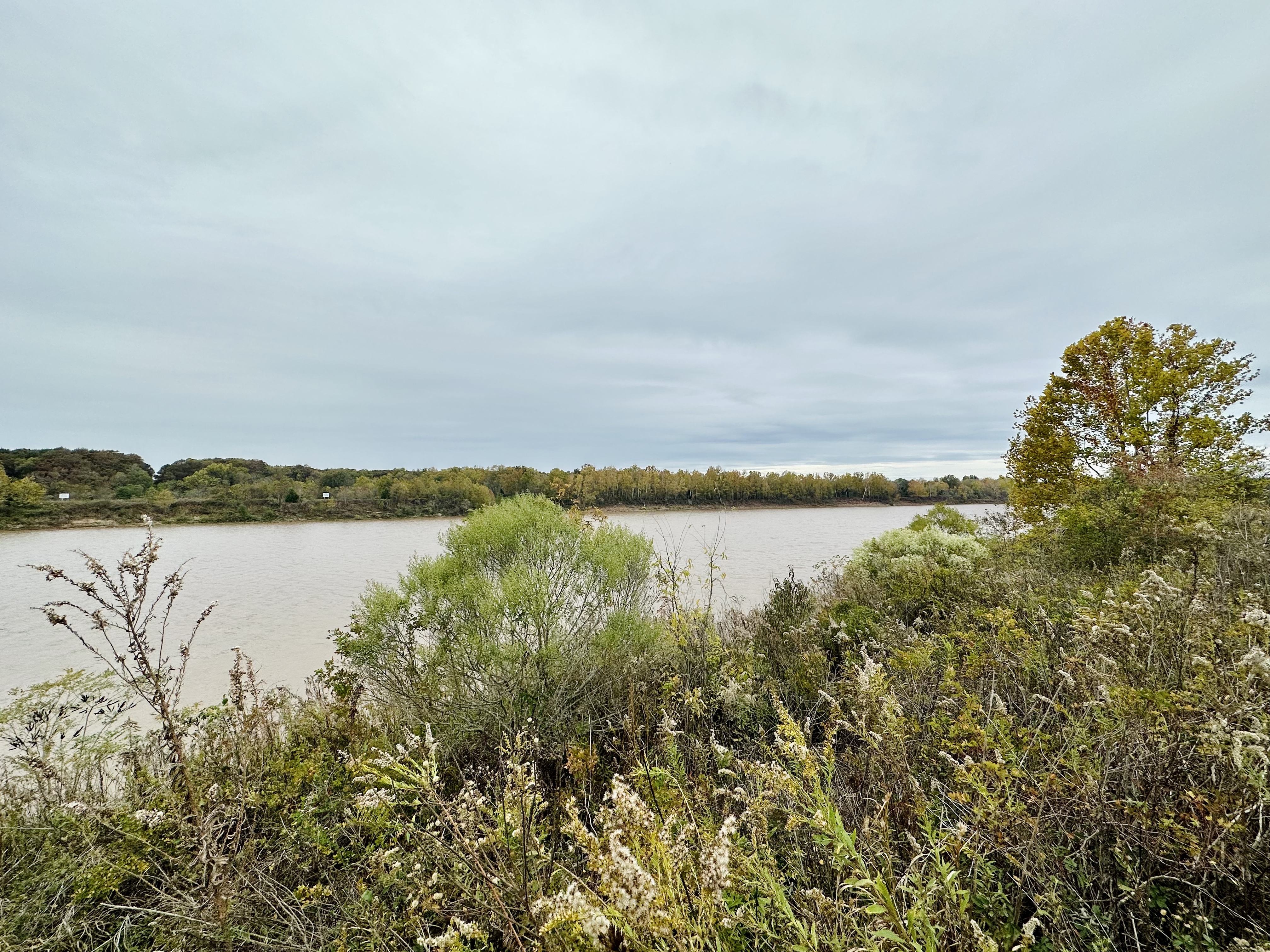 2.75± Acres on the Red River in Marksville, LA 