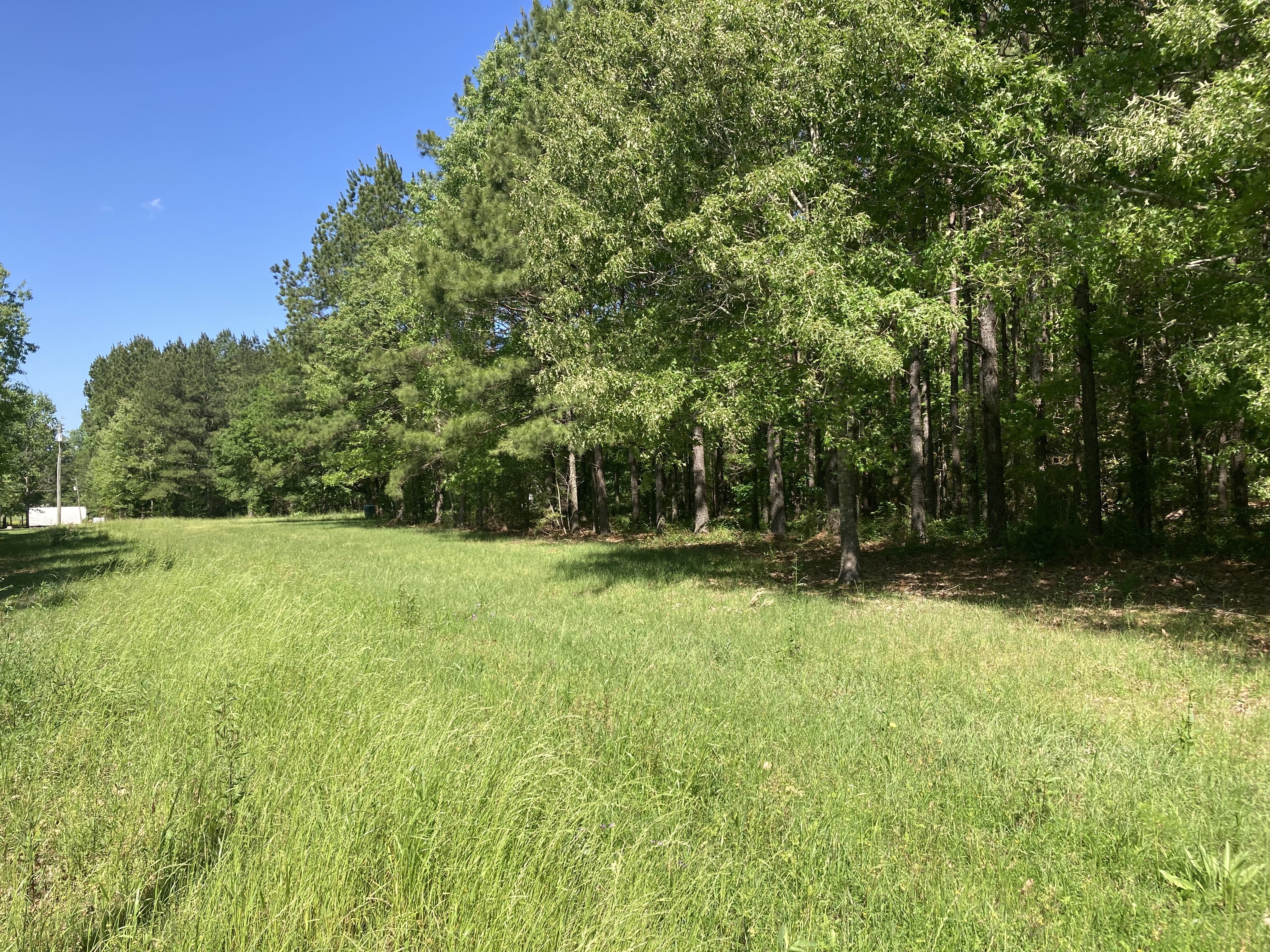 12.5± Acres - Ville Platte, LA (Pine Prairie Area)