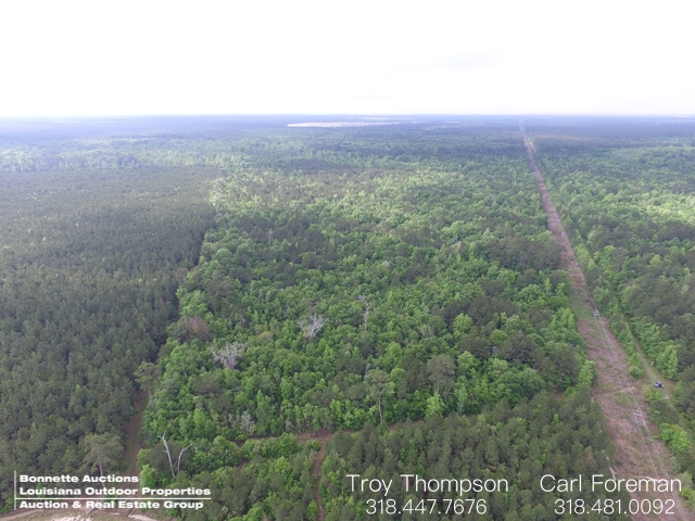 75± Acres - Oberlin, LA