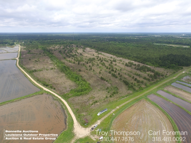 186.74± Acres - Allen Parish