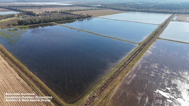 517.4 Acs Avoyelles Parish Rice, Crawfish, Row Crop & Recreational Farm