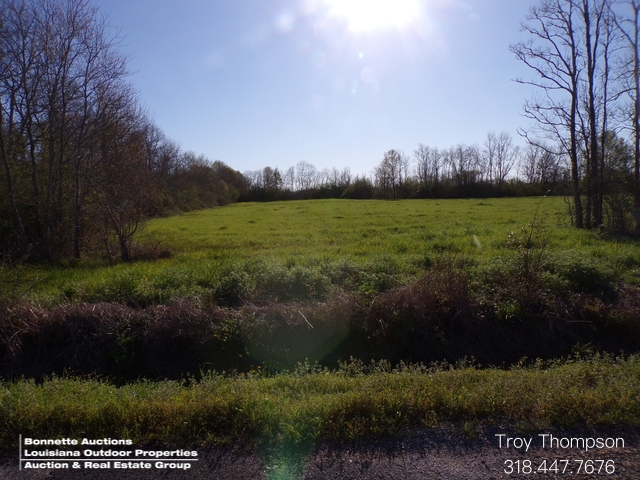 22.07 Acres - Avoyelles Parish