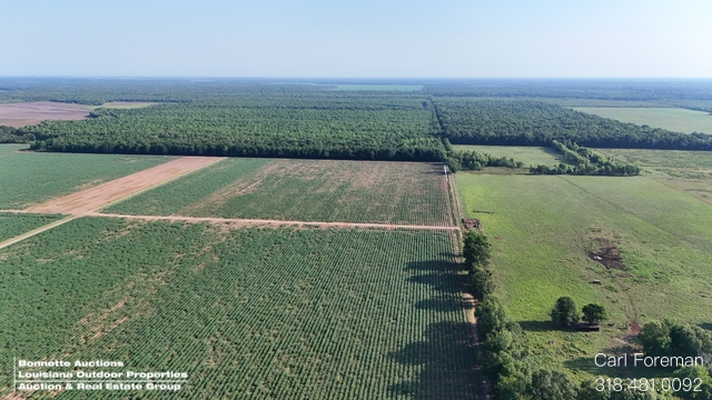 One Share in 333.33 Acs & Camp in St. Landry Parish