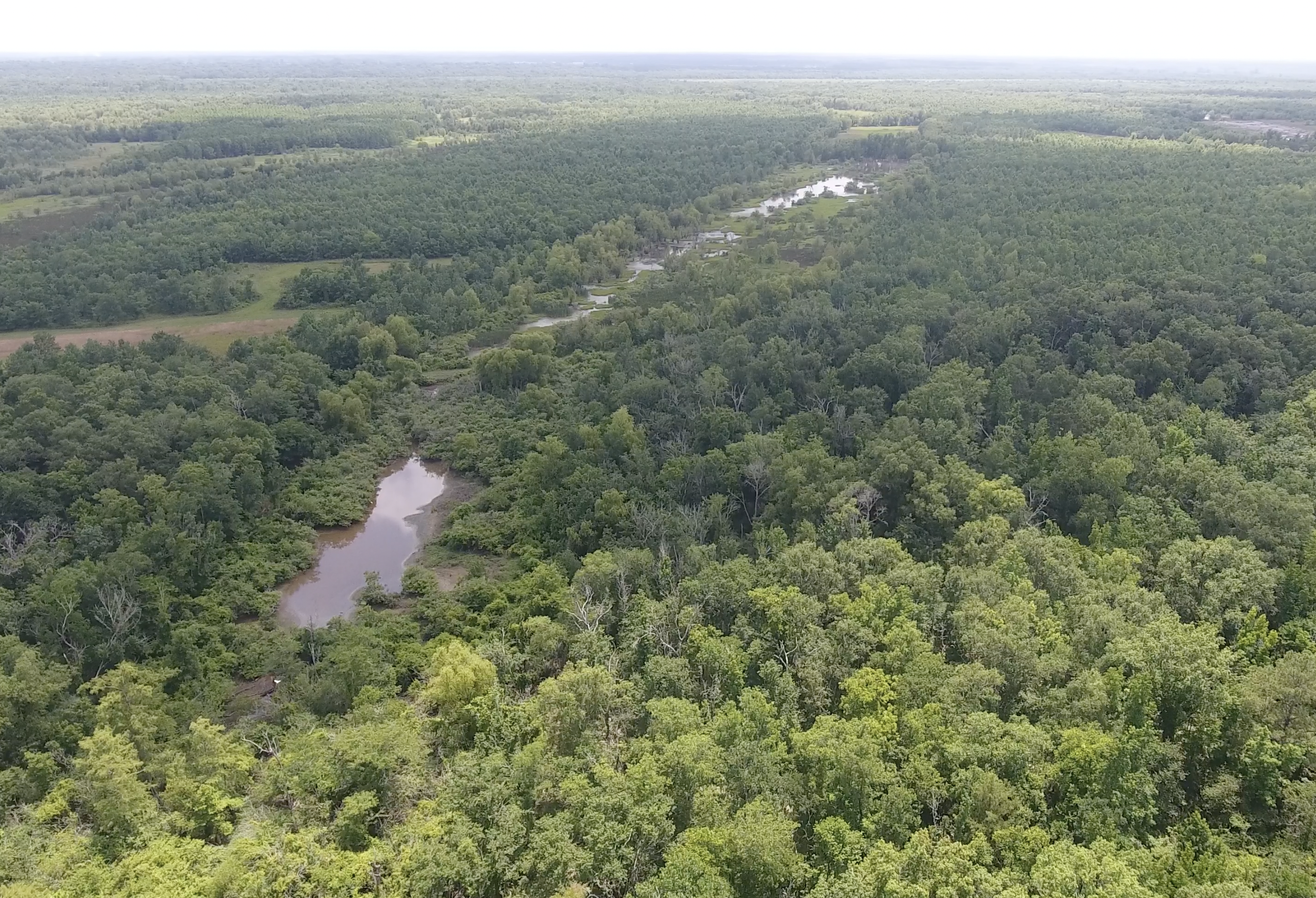 395± Acres – Hunting & Pastureland Minutes from Alexandria, LA