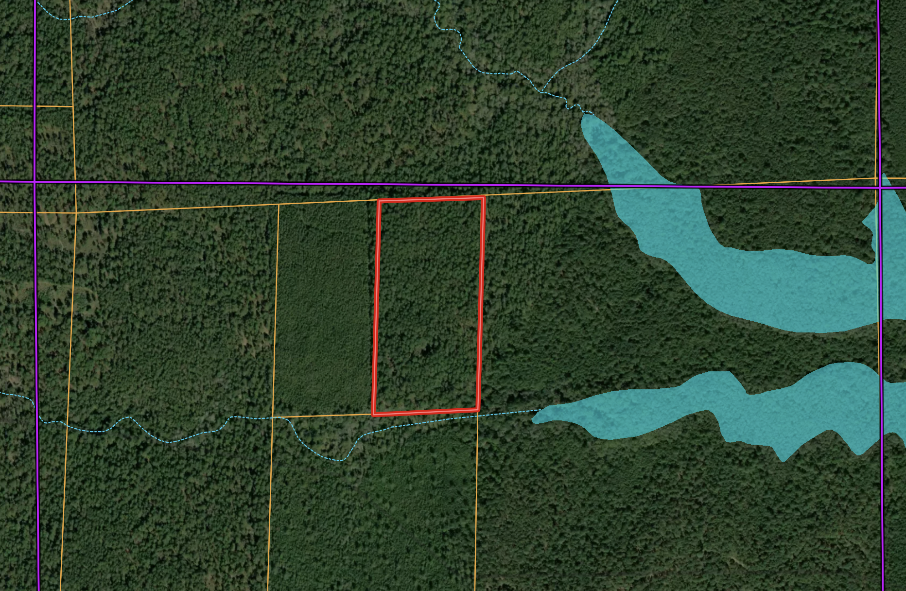 20 Acres of Land in Rapides Parish located in the Cocodrie Lake Area