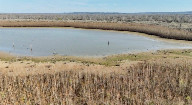 524± ACRES OF GREAT DUCK, DEER & SQUIRREL HABITAT NEAR AVOYELLES