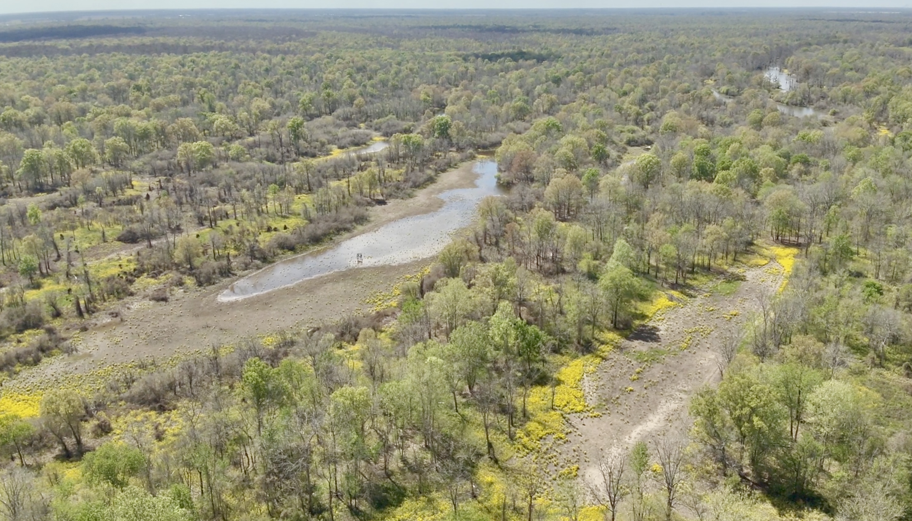 378.26± ACRES OF GREAT DUCK, DEER & SQUIRREL HABITAT NEAR AVOYELLES - Raccourci Island