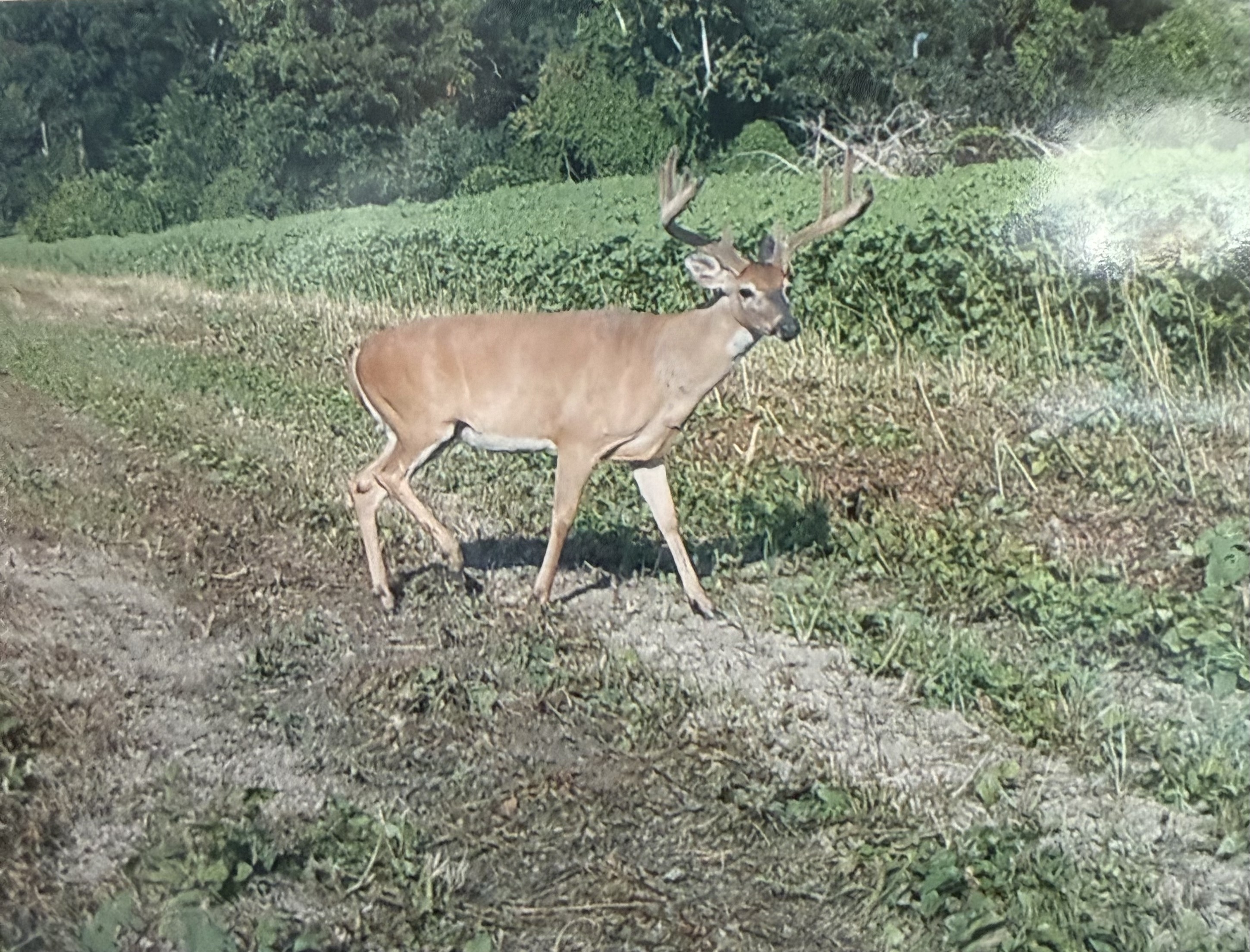 MISSISSIPPI RIVER EQUITY CLUB SHARE – TENSAS PARISH, LA