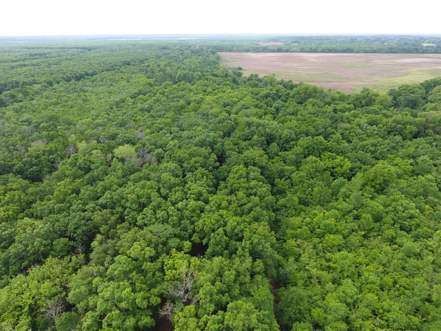 18± Acres Avoyelles Parish Hunting Land For Sale, Marksville 71351
