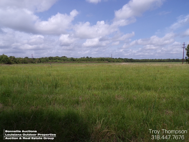 11± Acres - Mansura, LA