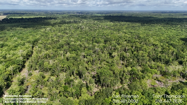 78.8± Acres Recreational Tract - Avoyelles Parish